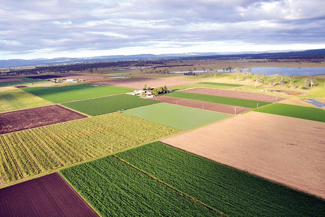 Lockyer Valley - Bloomin Computer Lockyer Valley Bloomin Computer